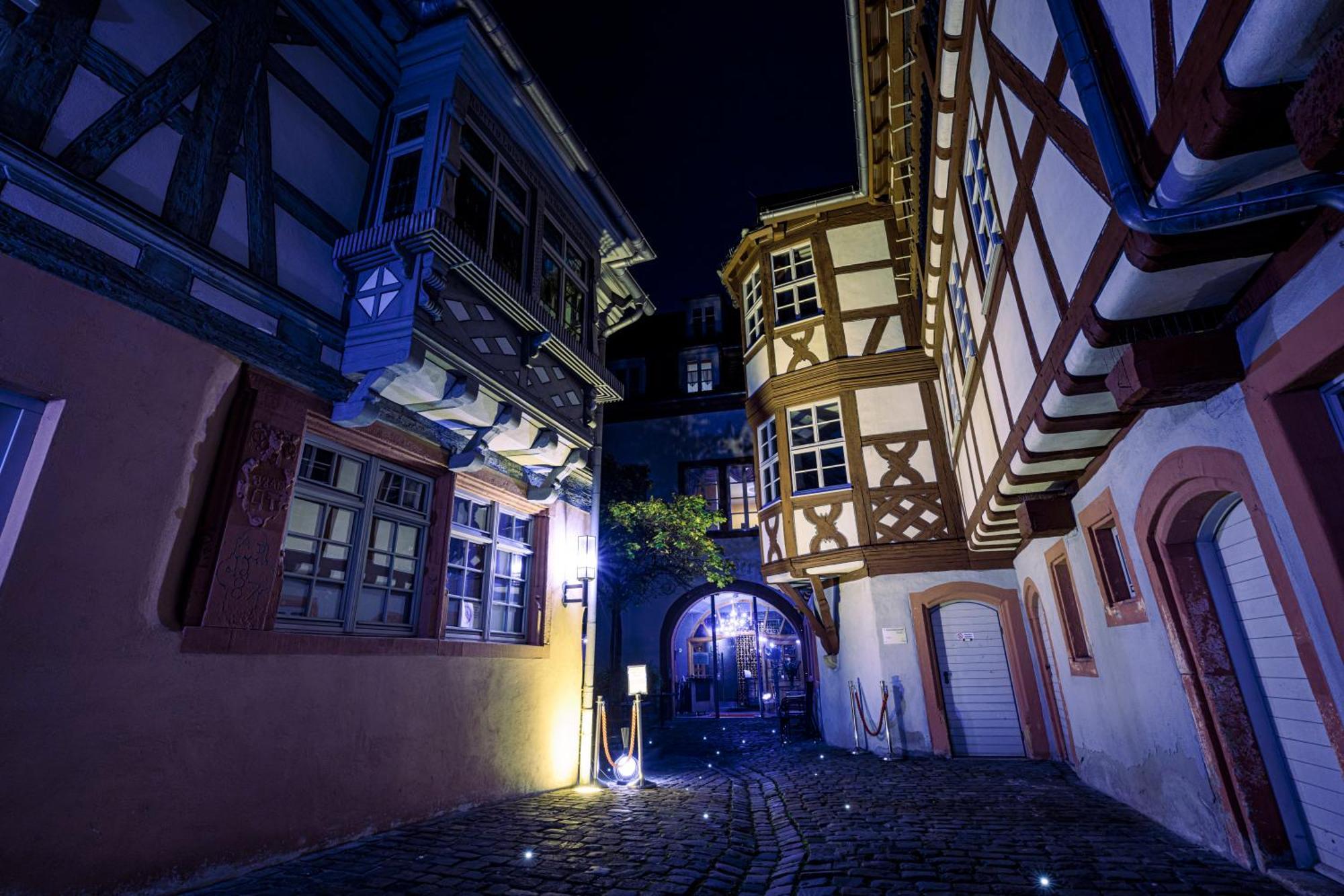 Steinhaeuser Hof Neustadt an der Weinstraße Kültér fotó