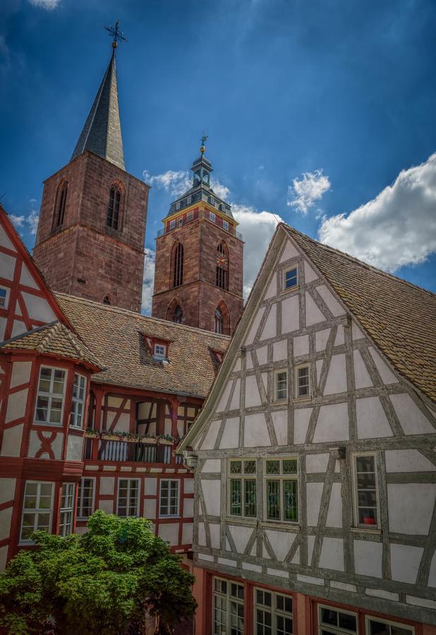 Steinhaeuser Hof Neustadt an der Weinstraße Kültér fotó