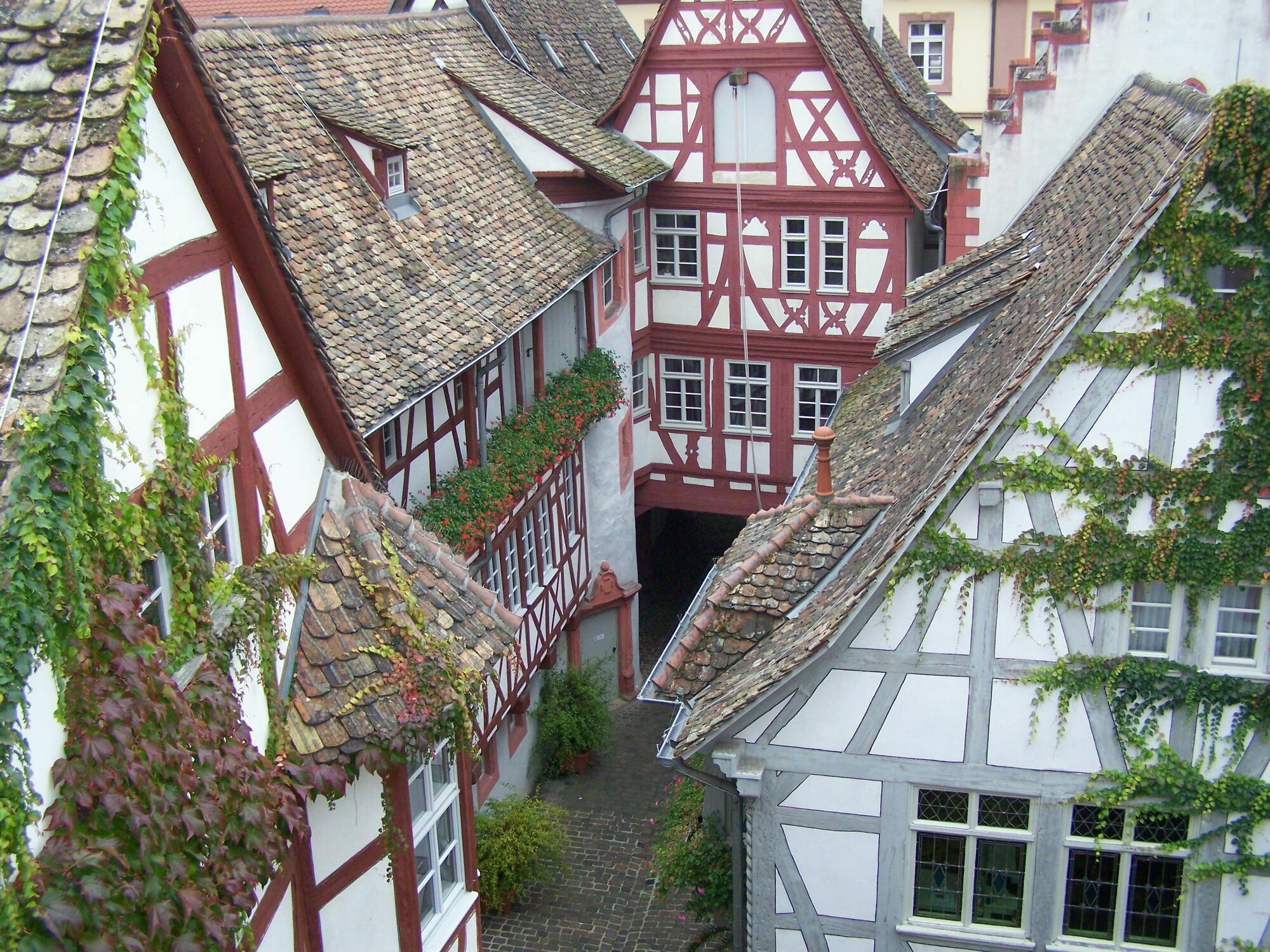 Steinhaeuser Hof Neustadt an der Weinstraße Kültér fotó
